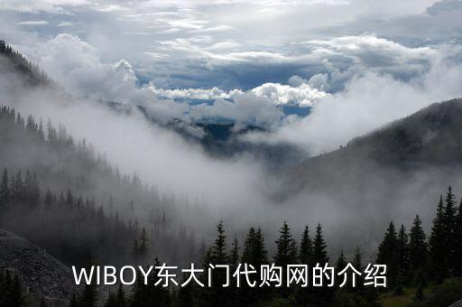 WIBOY东大门代购网的介绍