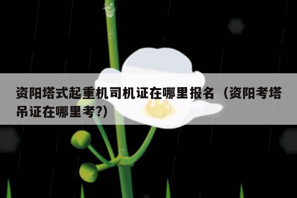 资阳塔式起重机司机证在哪里报名（资阳考塔吊证在哪里考?）