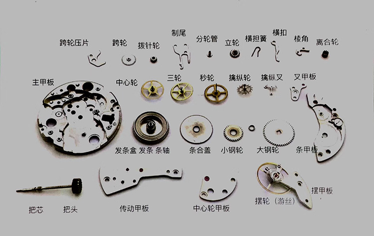 手表各部分零件