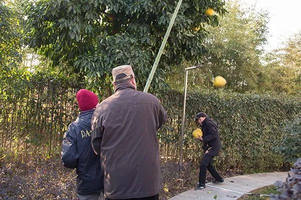 别墅小型电梯价格是多少_别墅小花园设计效果图_小别墅