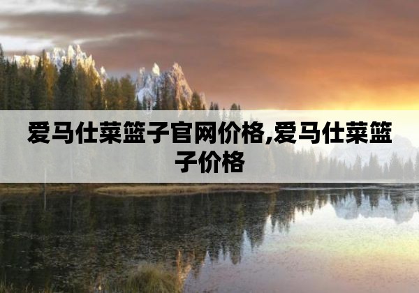 爱马仕菜篮子官网价格,爱马仕菜篮子价格