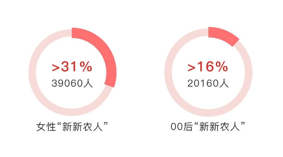 电商创业_电商创业计划书_电商创业项目有哪些