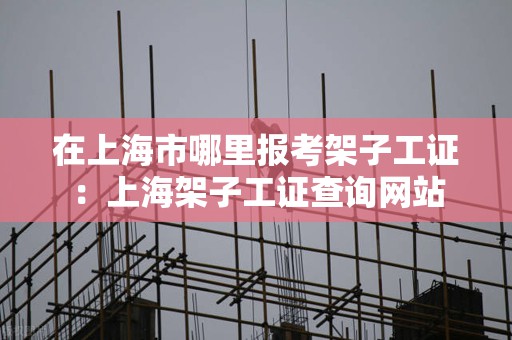 证件查询网站官方网_架子工证件查询网站_证件在线查询