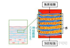 琳玲港货