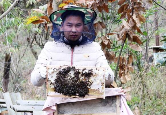 家族世代养蜂，养蜂让他走上创业致富路