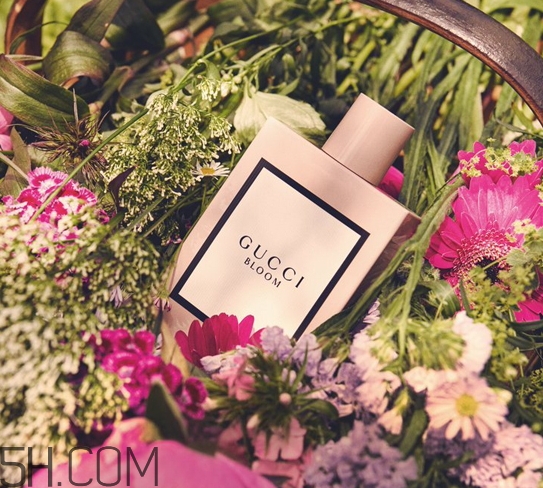 gucci bloom香水多少钱？gucci bloom香水专柜价格