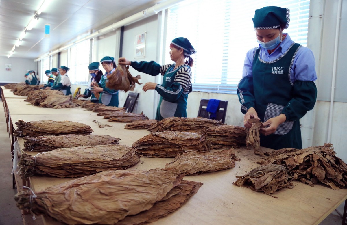 福建中华假烟事件_中华假烟福建_福建莆田中华烟造假