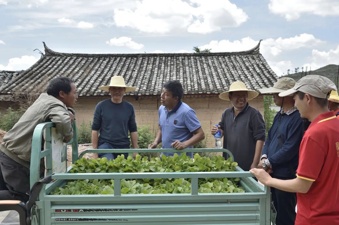 香烟云南印象多少钱_云南香烟_香烟云南红云