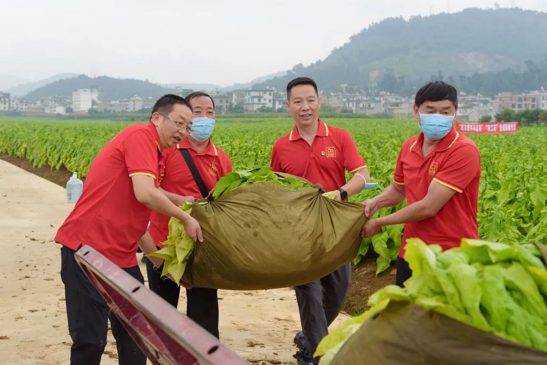 香烟云南红云_香烟云南印象多少钱_云南香烟