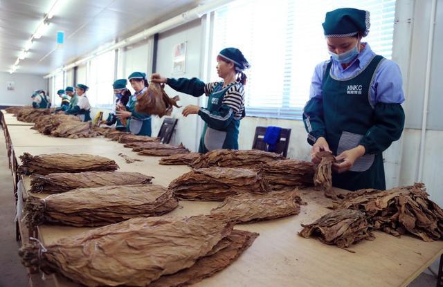 云霄香烟生产厂家-首页_现在云霄卷烟厂生产正品烟了吗_云霄香烟厂家直销