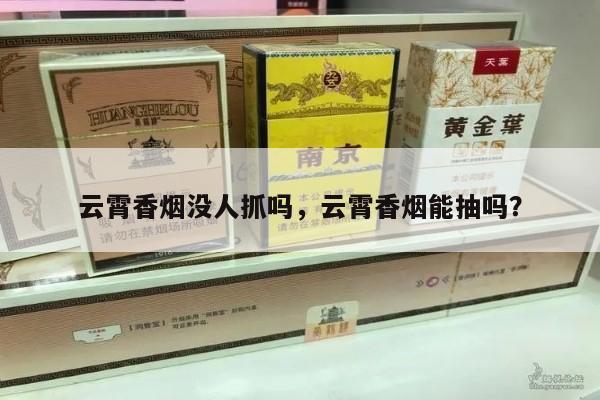 云霄香烟没人抓吗，云霄香烟能抽吗？-第4张图片-香烟批发平台