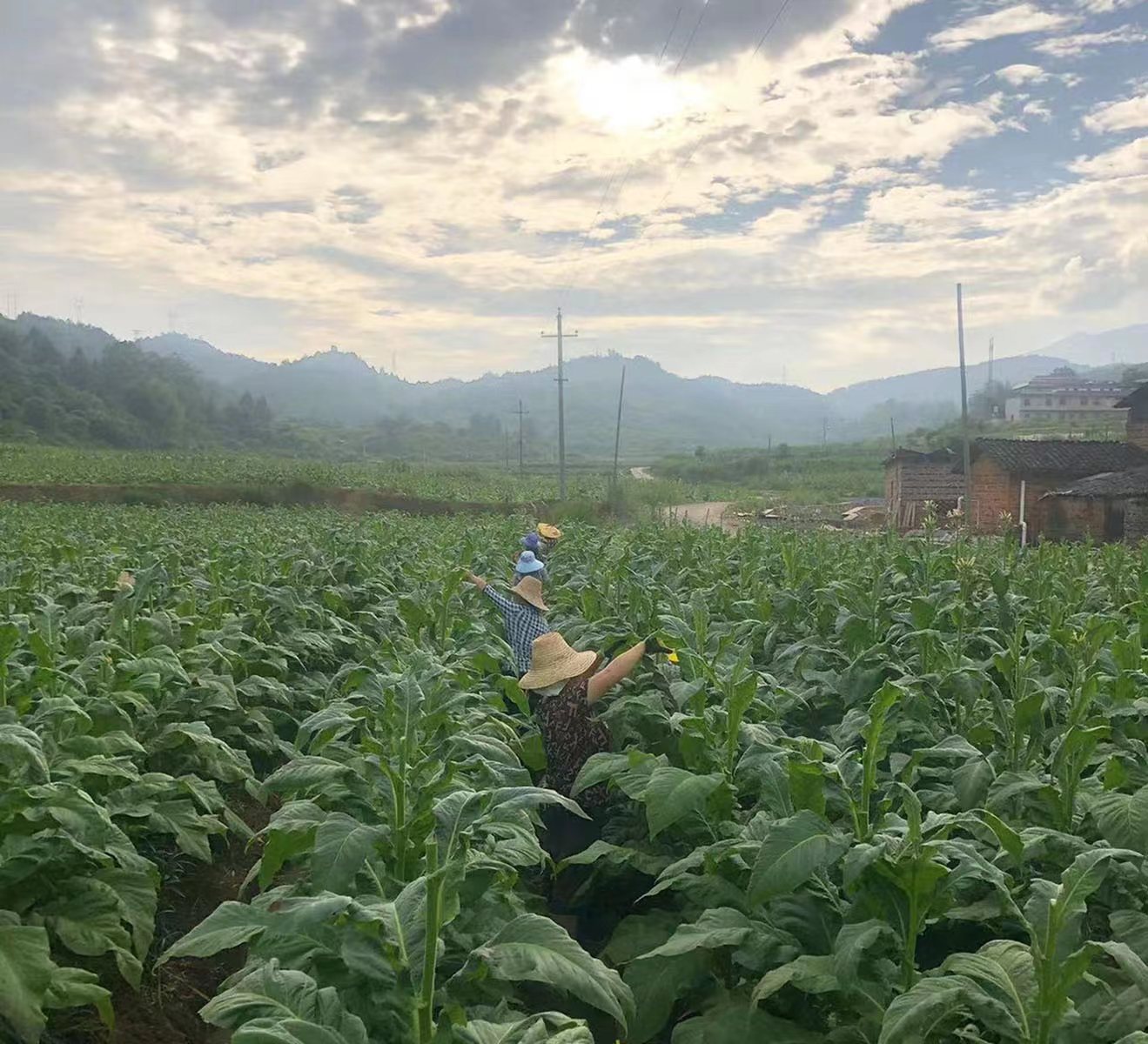 误造怎么造房子_私自造烟的村子_公输盘为楚造云梯之械的造