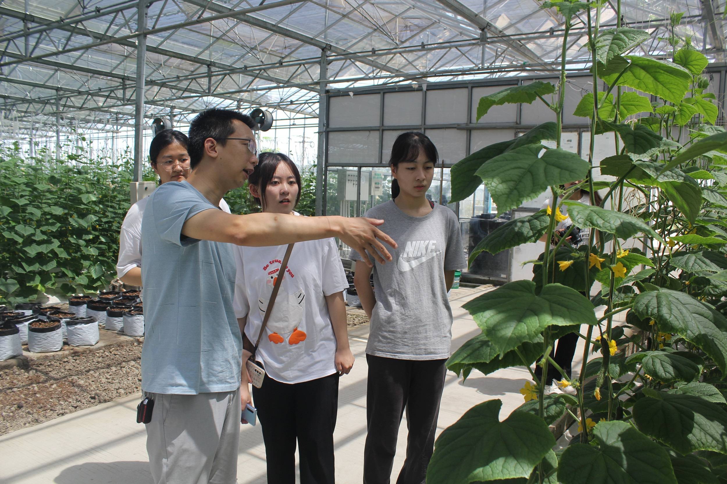 福建云霄香烟_福建云霄_福建云霄县天气预报