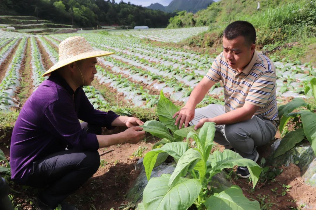 私自造烟的村子_单腔造瘘和双腔造瘘_用如果就造句子怎么造