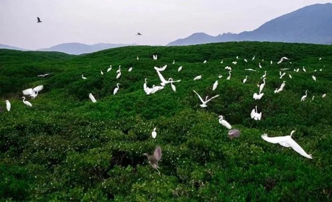 福建云霄香烟_福建云霄县天气预报_福建云霄