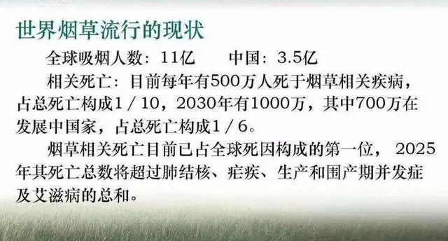 云霄县国家假烟事件_云霄县假烟国家不管吗_云霄县国家假烟案判决