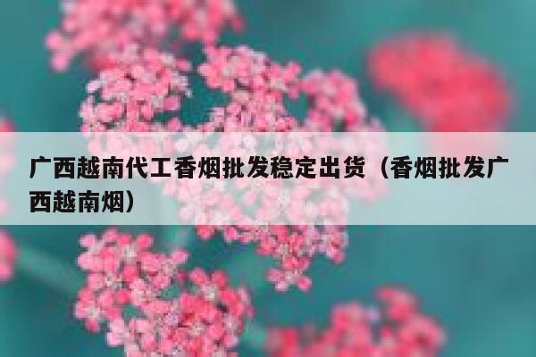 广西越南代工香烟批发稳定出货（香烟批发广西越南烟）