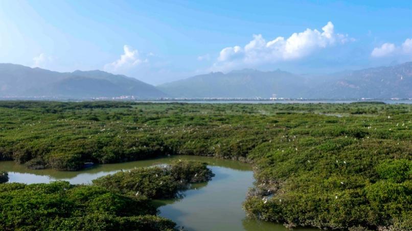 福建云霄香烟_福建云霄_福建云霄天气