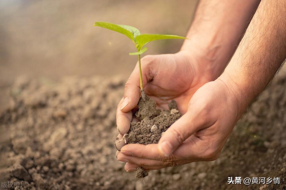 微信小程序城市造造造攻略_城市造造造兑换码大全_私自造烟的村子