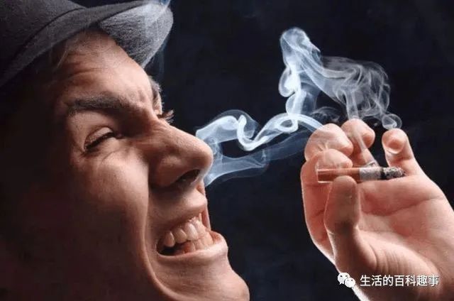 香烟一手_一手香烟货源_一手香烟批发