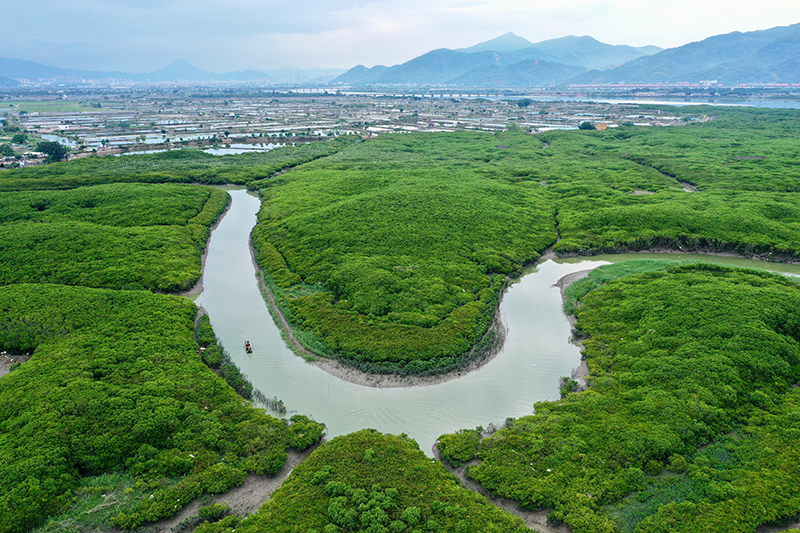 福建云霄县属于哪个市_福建云霄_福建云霄县天气预报