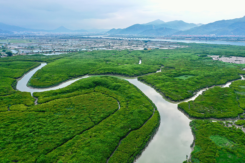 福建云霄县属于哪个市_福建云霄_福建云霄县天气预报