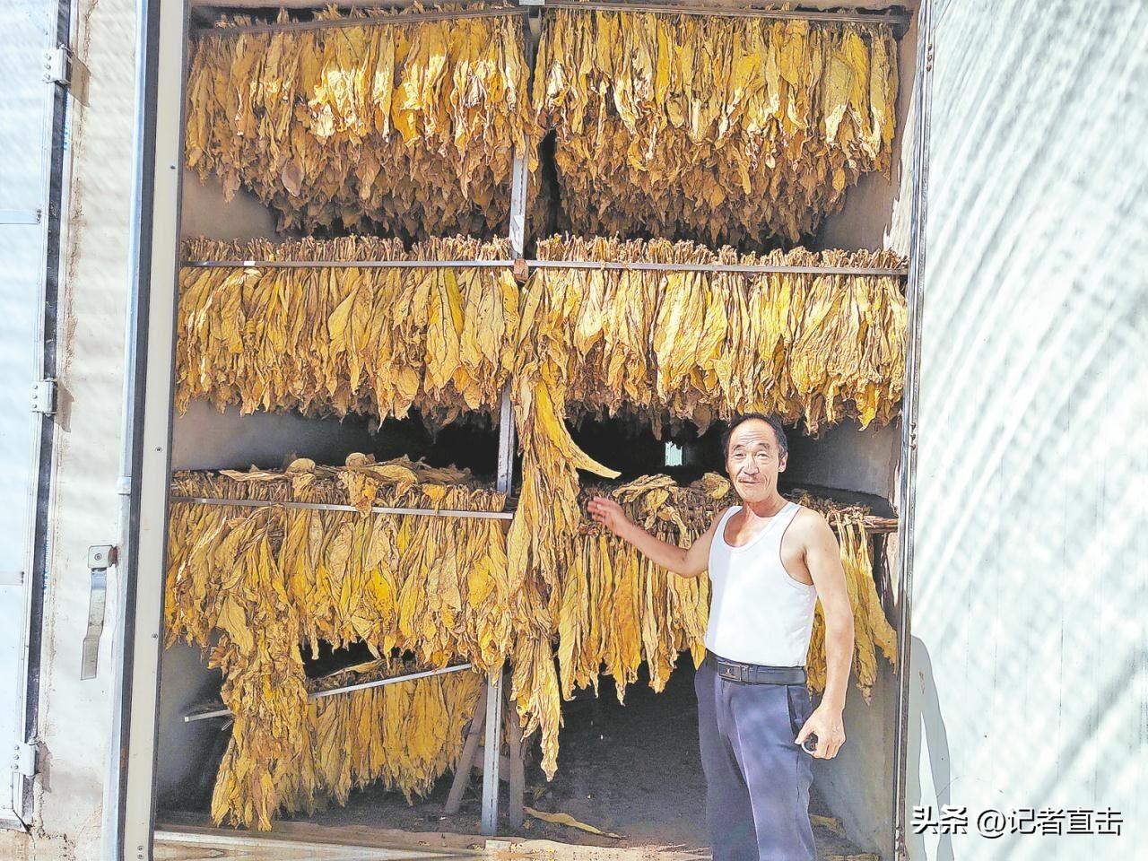 菲利普莫里斯烟日本造_小野造物的电子烟_私自造烟的村子