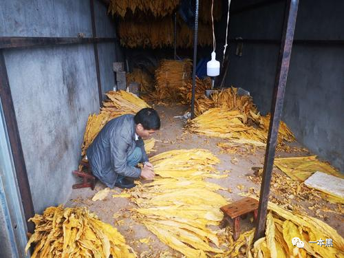 福建中华假烟厂_福建中华假烟事件_中华假烟福建