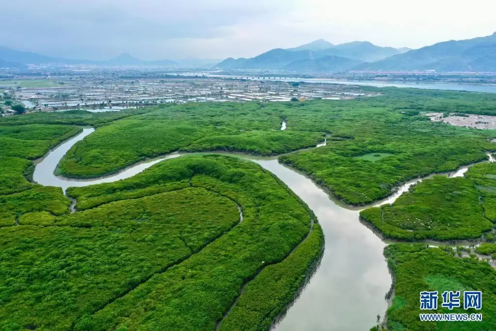 福建云霄天气_福建云霄香烟_福建云霄