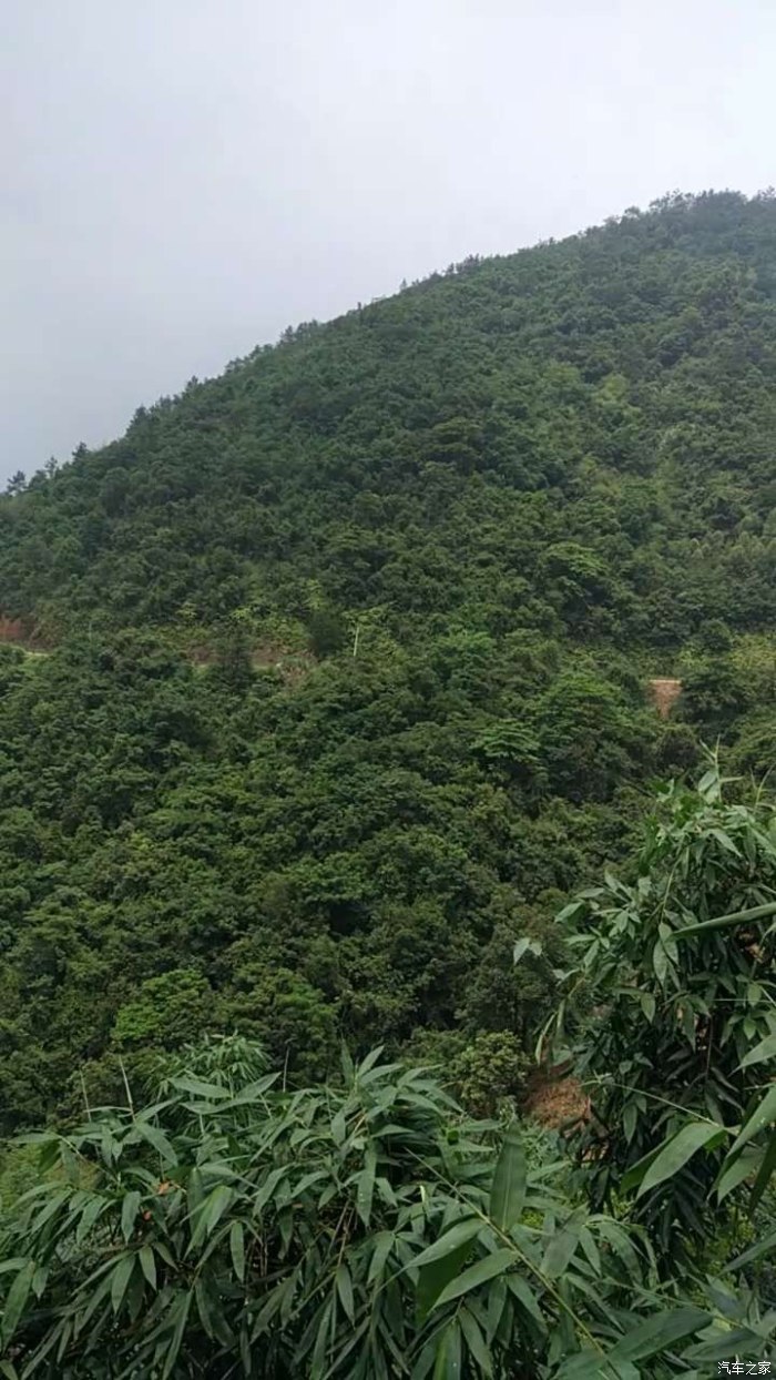 造雾者电子蒸汽烟体验馆怎么样_私自造烟的村子_城市造造造秘籍