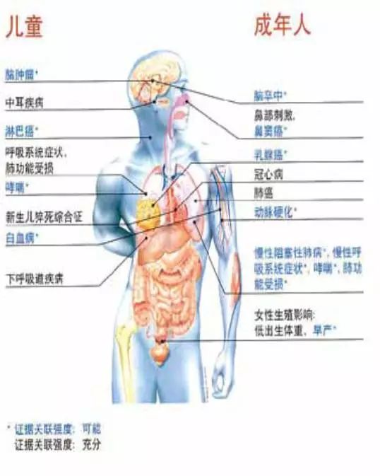 香烟一手_一手香烟微信号_一手香烟货源