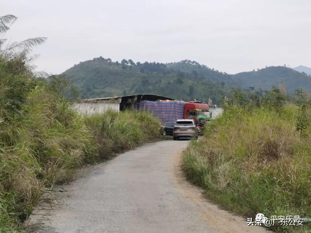 雷州市海山酒家(假烟窝点藏身百平方米地下室，警方出动钩机掀开洞口！)(图7)