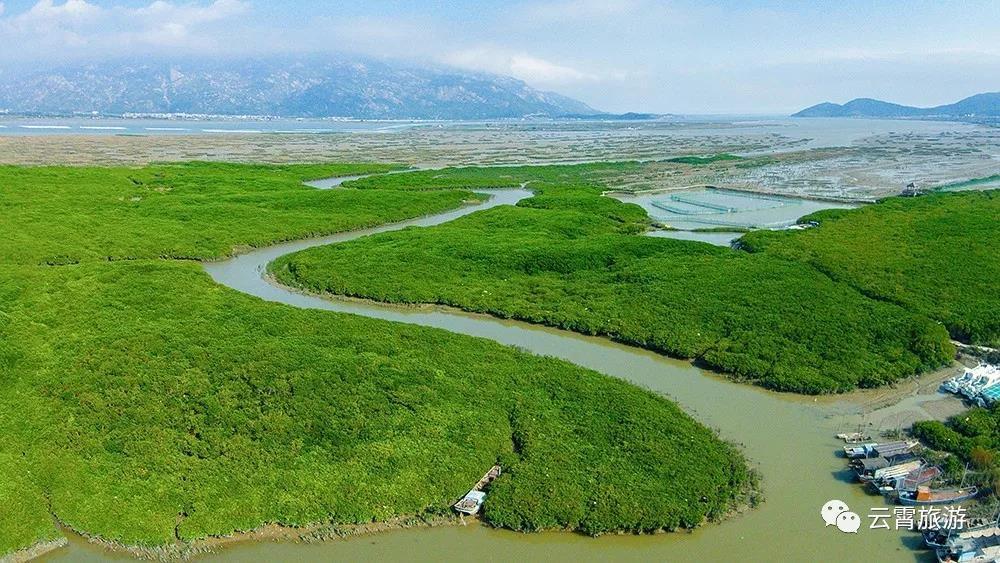 福建云霄县天气预报_福建云霄天气_福建云霄