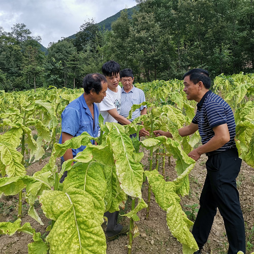 造烟机器全套多少钱_私自造烟的村子_微信小程序城市造造造攻略