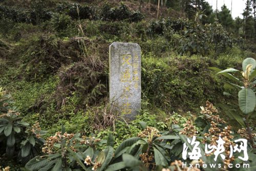 通贝村 交通总站