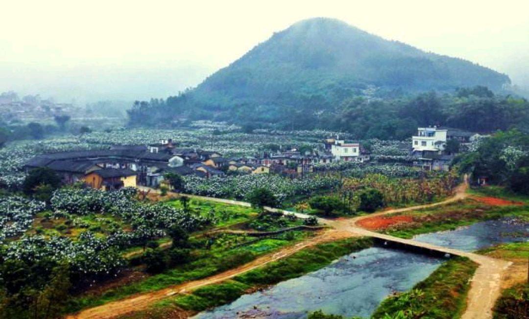 福建云霄县天气预报_福建云霄天气_福建云霄