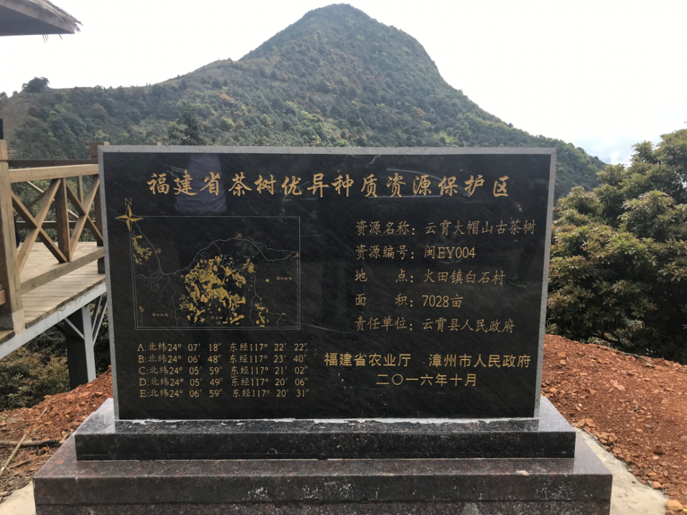 福建云霄香烟_福建云霄天气_福建云霄