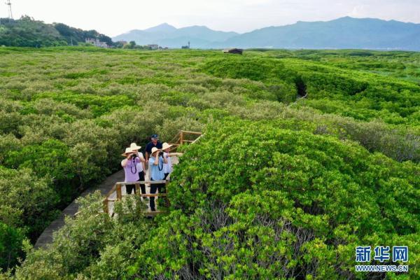 福建云霄县属于哪个市_福建云霄_福建云霄天气