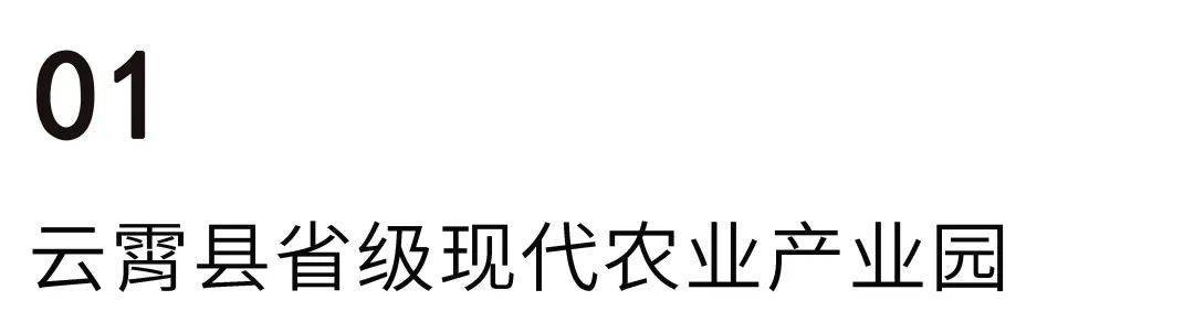 福建云霄_福建云霄县属于哪个市_福建云霄县天气预报