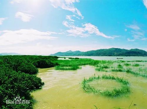 福建云霄_福建云霄香烟_福建云霄县属于哪个市