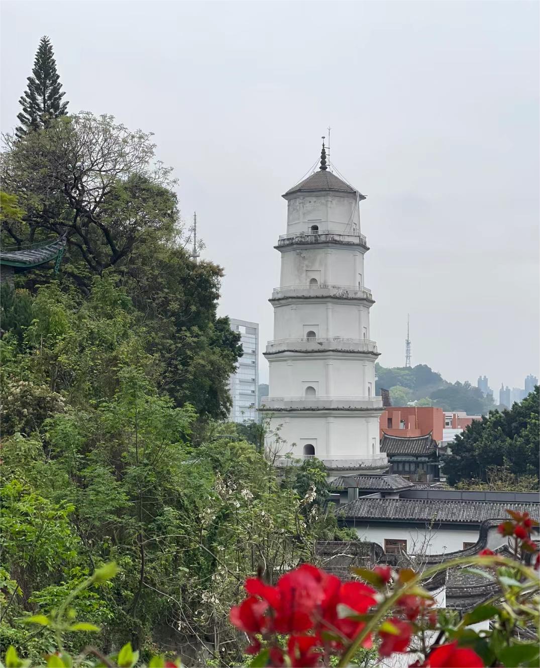 香烟云霄和越南代工哪个好抽_云霄香烟_香烟云霄是什么意思